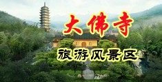 大鸡巴操小骚逼啊啊的视频中国浙江-新昌大佛寺旅游风景区